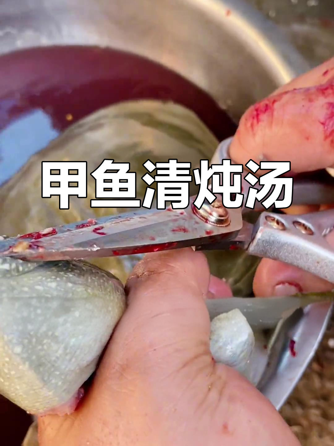 清炖甲鱼汤的做法