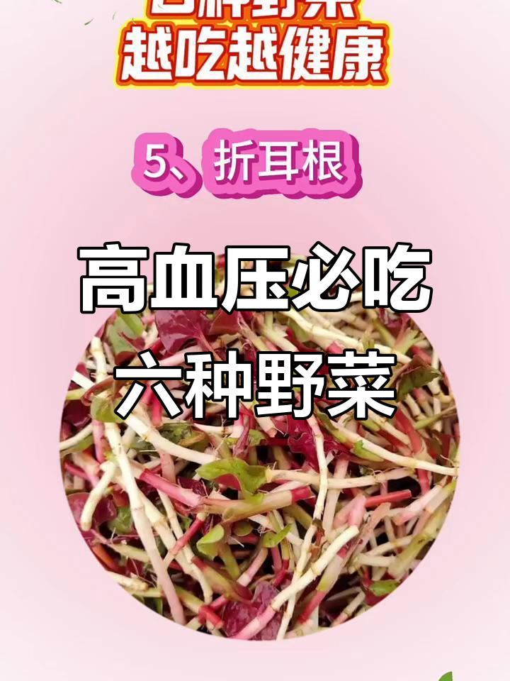 6种最适合高血压患者食用的野菜,健康又美味