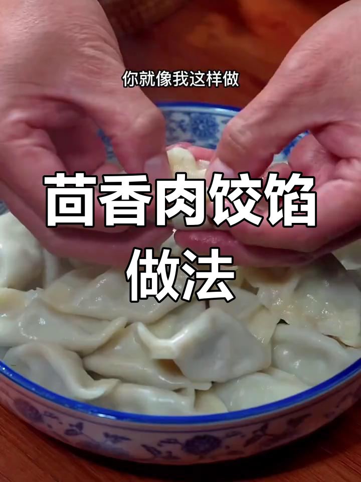 茴香猪肉饺子馅,简单又鲜嫩多汁