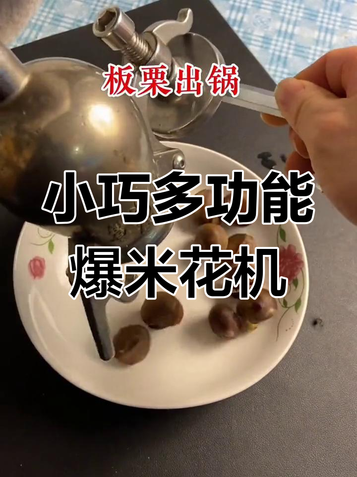 304不锈钢迷你爆米花机,五谷杂粮轻松做