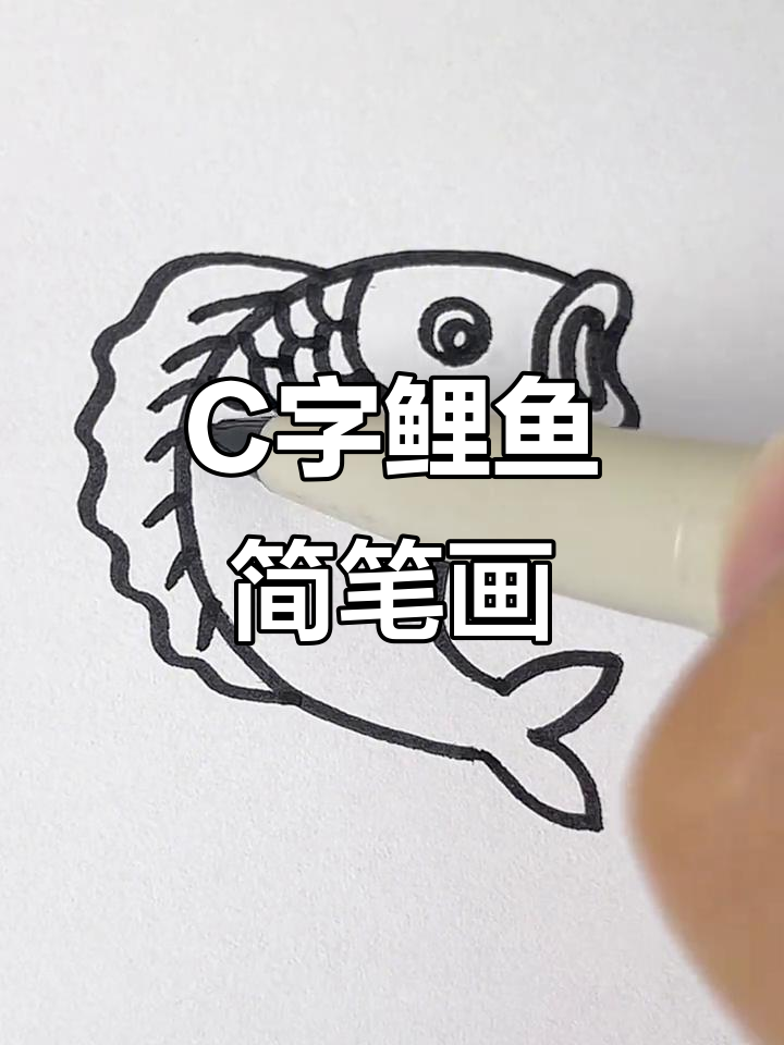 用字母C轻松画鲤鱼，简单又有趣！