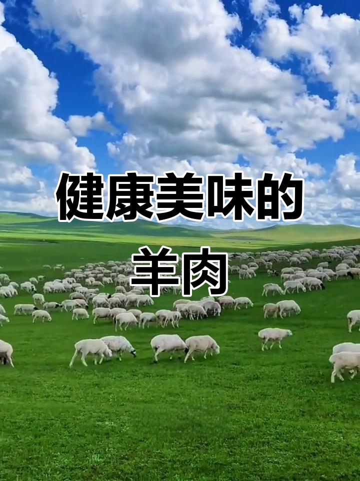 乌珠穆沁羊,草原美味,健康又营养!