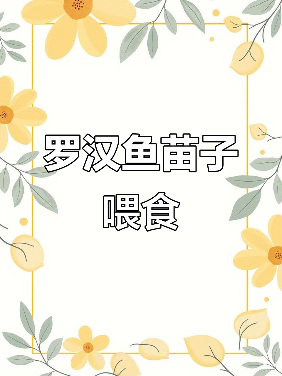 红马罗汉鱼苗子开口吃食，氧气泵故障排查