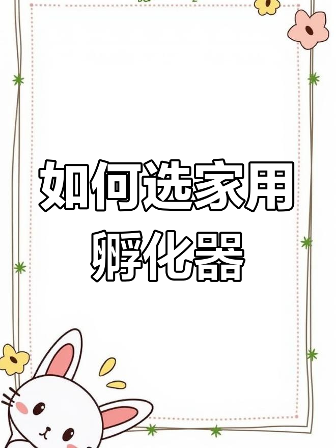 家庭孵化器选购指南:如何挑选适合你的设备
