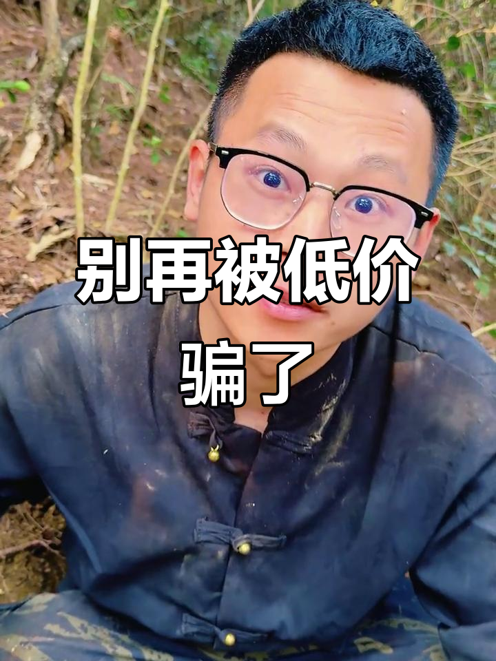 20元买葛根粉?别被骗了,真货价格揭秘!
