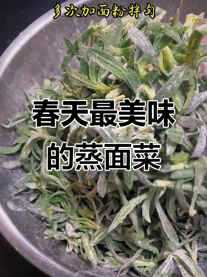 春天的第一道美味野菜,蒸面条菜的独特香气