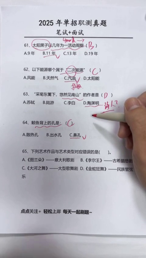 鲸鱼背上的孔是什么