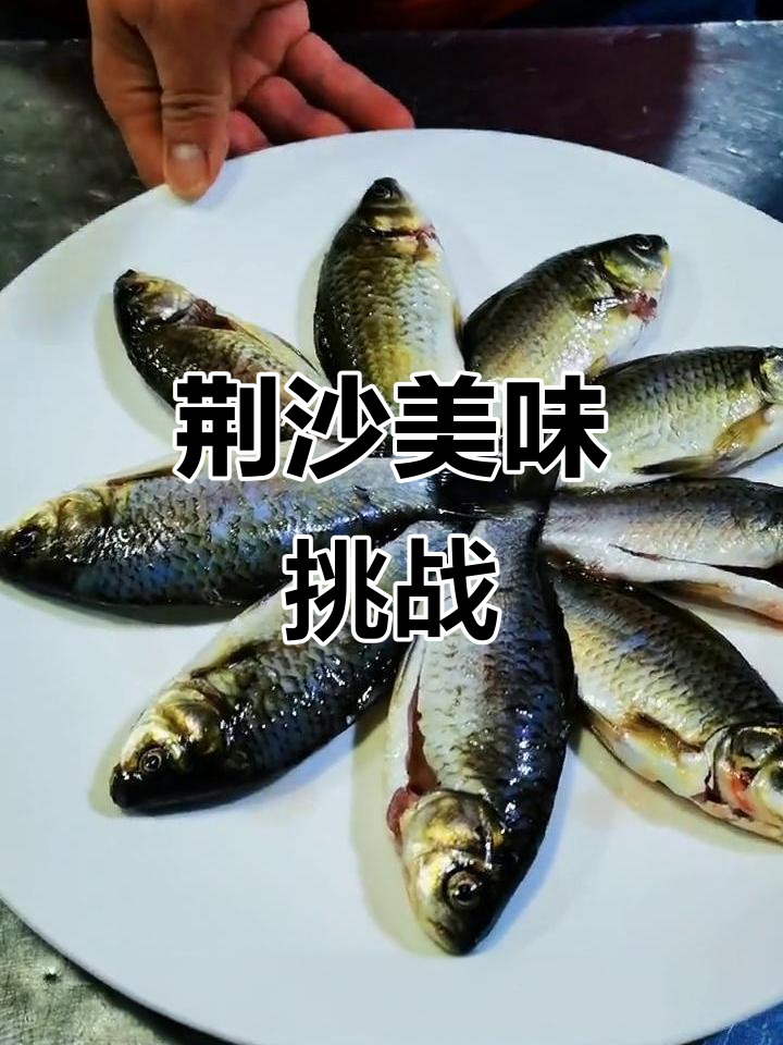 尝试荆沙经典,青椒小鲫鱼,点赞支持一下!