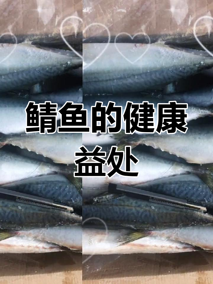 鲭鱼的营养成分与保健功能