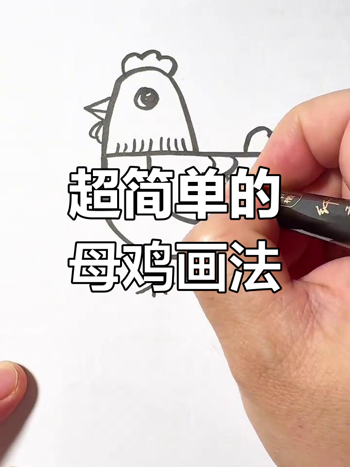 母鸡简笔画，轻松学会！步骤超简单