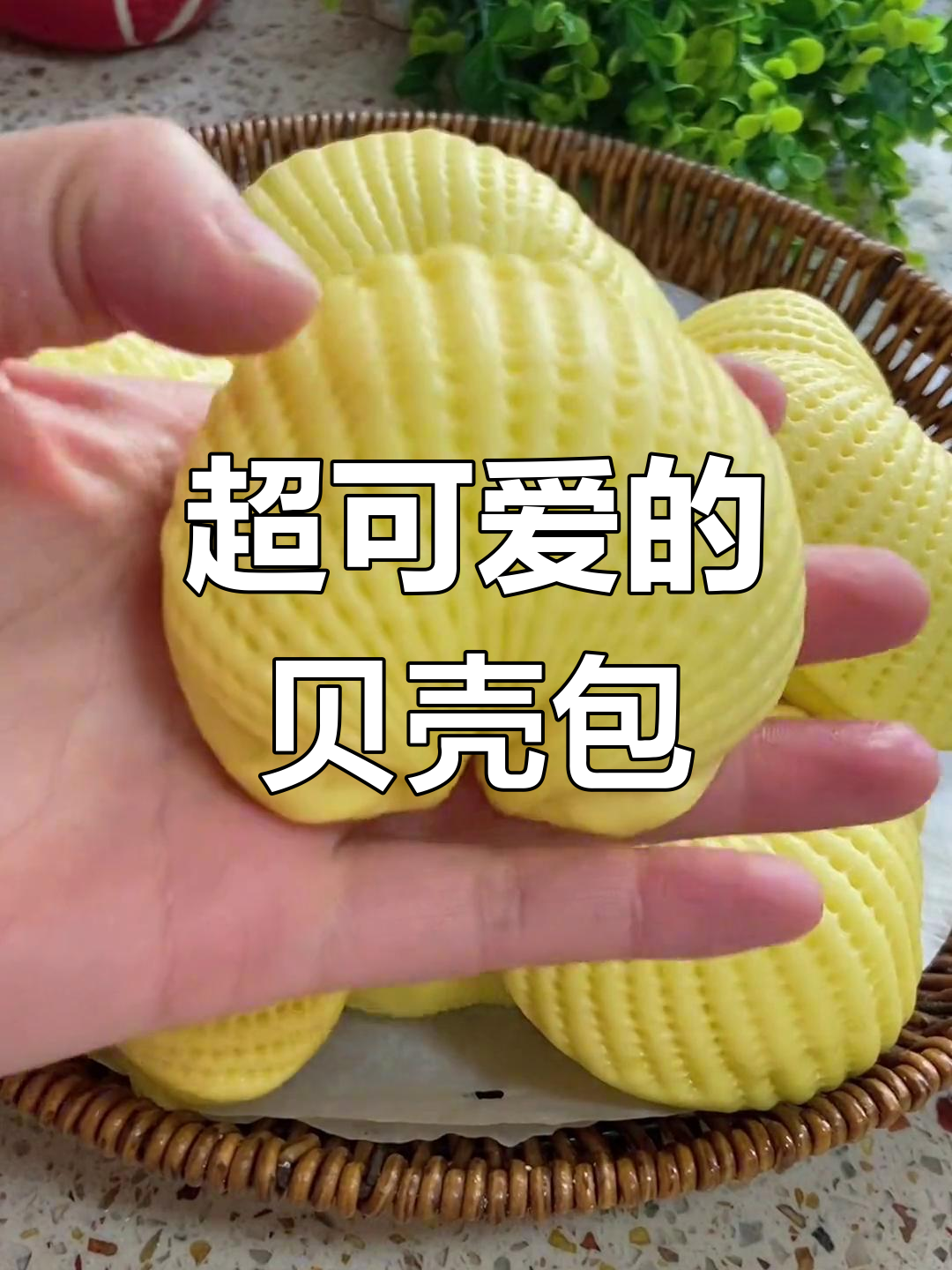 贝壳包的做法超萌