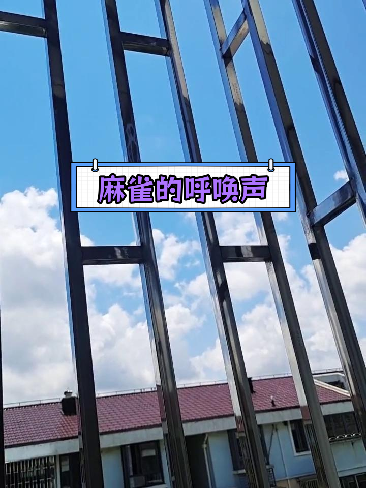 麻雀叫声原来是召唤同伴