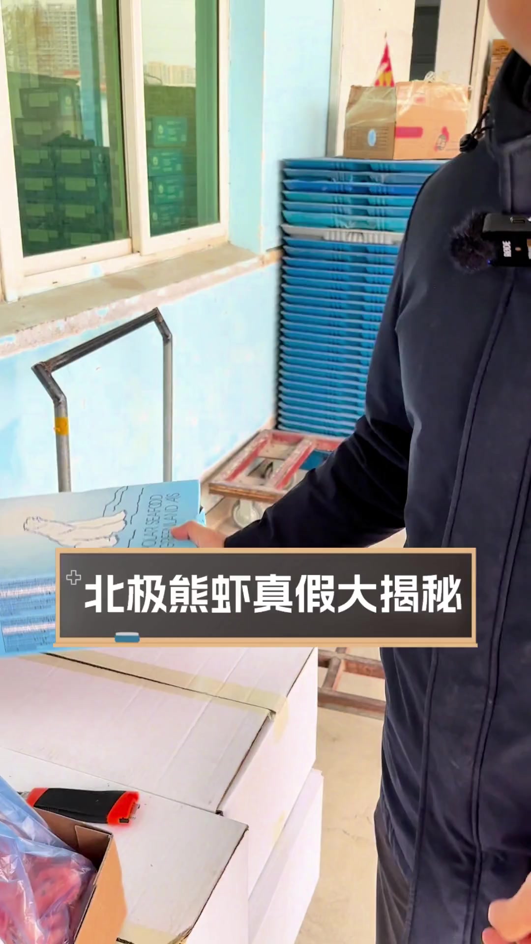 北极熊虾真假大揭秘