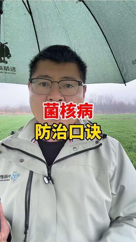 油菜菌核病防治口诀!#三农 #农作物农技110 #农业种植