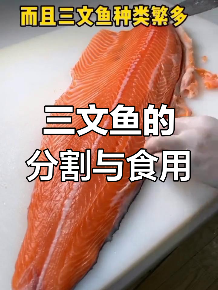 三文鱼各部位吃法解析