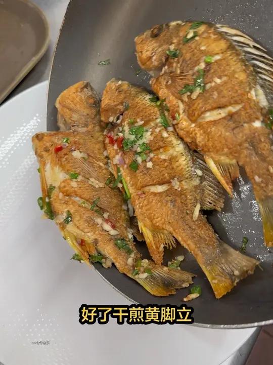 世界上最好吃的鱼?你怎么看呢?#煎鱼 #黄脚立