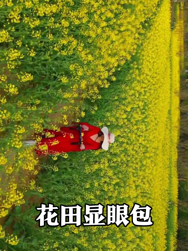 红裙大姐油菜花田拍写真，装备比花还抢镜