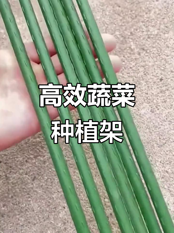 庭院种菜必备爬藤架子,豆角丝瓜葡萄都能轻松攀附