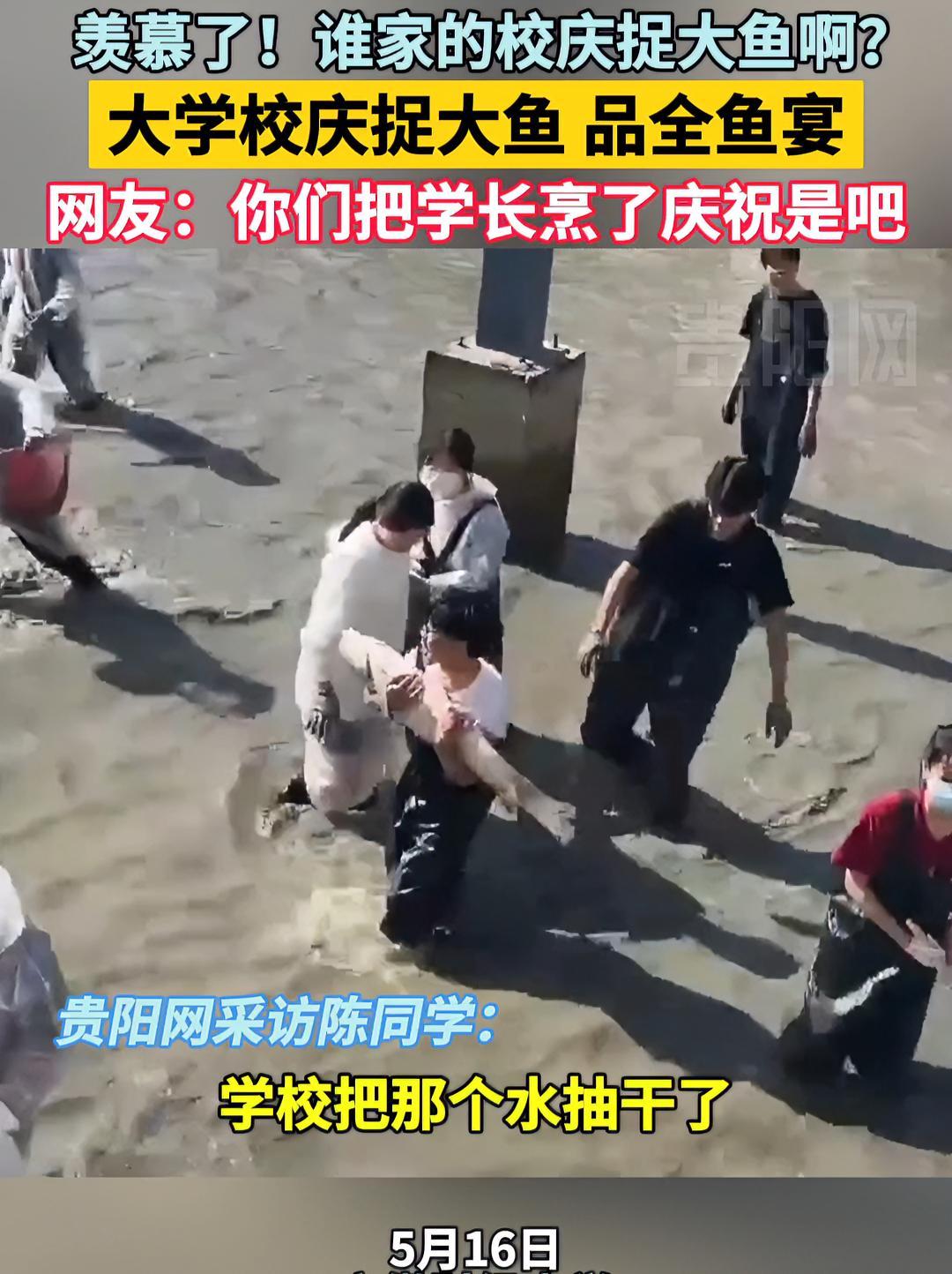 羡慕了!谁家的校庆捉大鱼啊?网友:你们把学长烹了庆祝是吧 校庆 捉鱼 有趣
