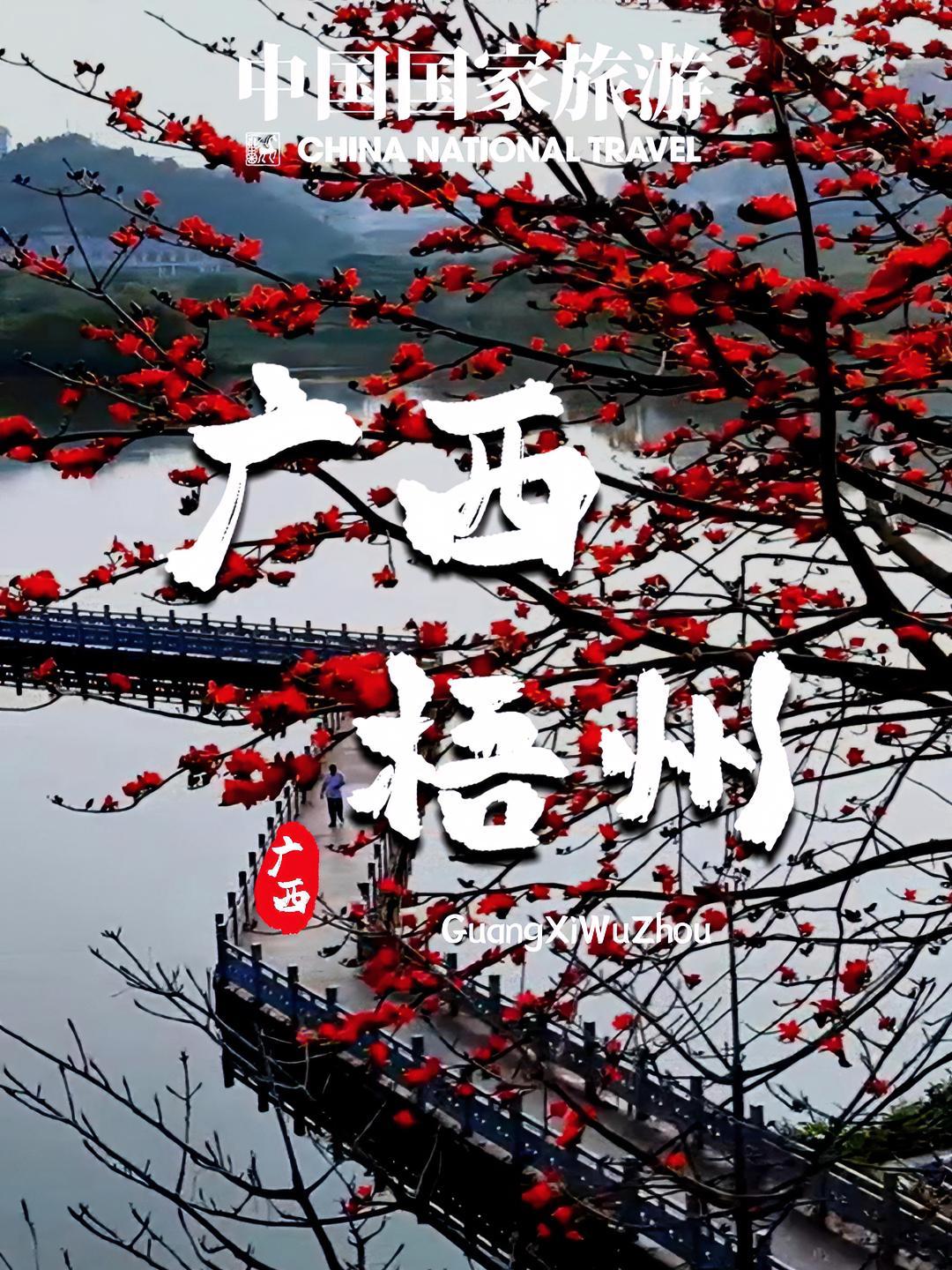 晚安|纸包鸡的焦香裹着晚风,龟苓膏的清甜融化夜色,烟火气是梧州给你的温柔好梦。(实习剪辑: