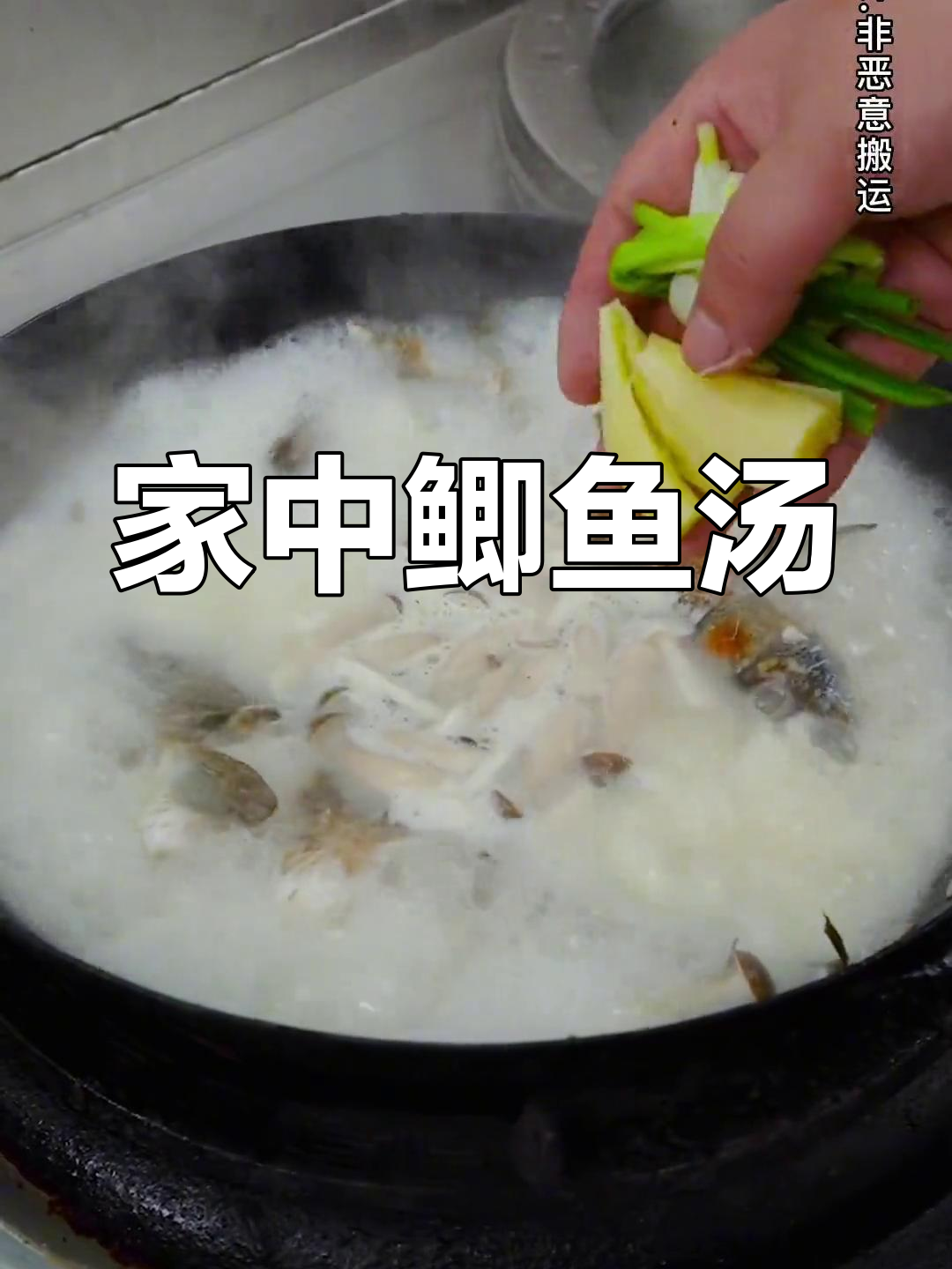 在家轻松做鲫鱼汤,鲜美可口,超简单!