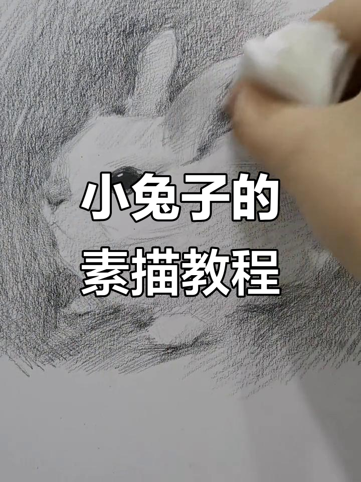 零基础学素描:如何画小兔子全身细节