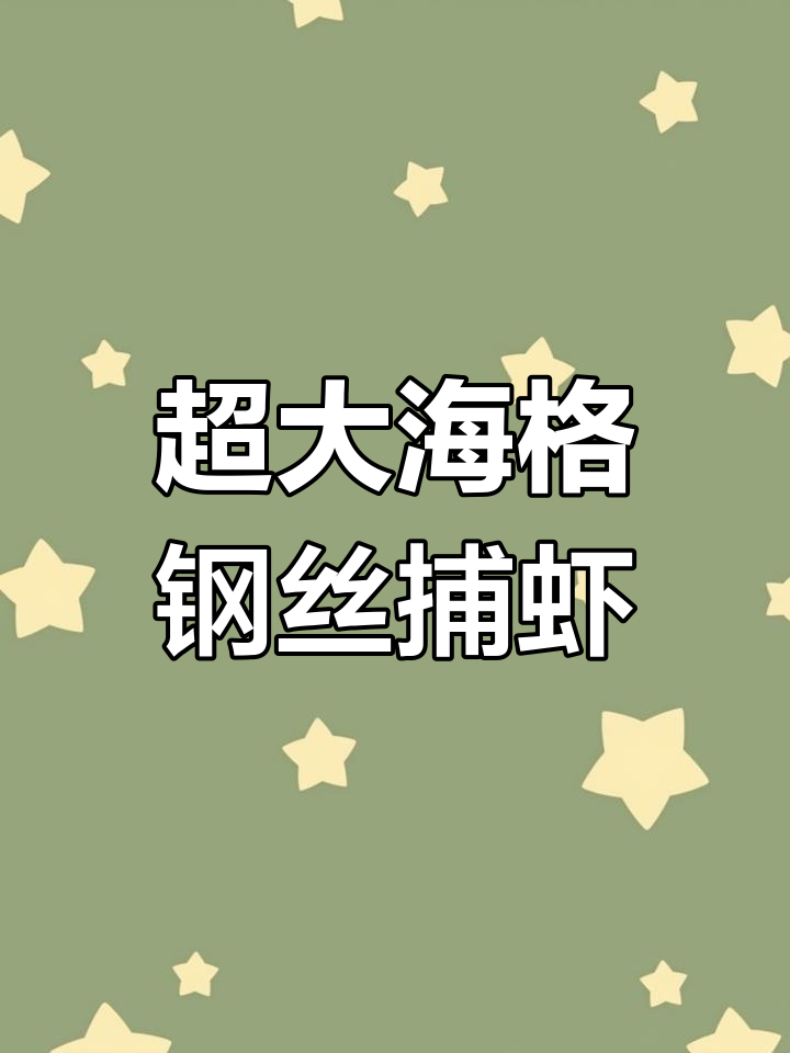 蓝虾捕捞大揭秘:东南亚沼泽中的巨型罗氏虾