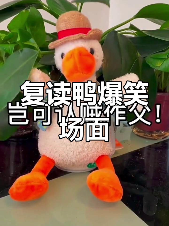 复读鸭搞笑日常,爆笑瞬间大合集