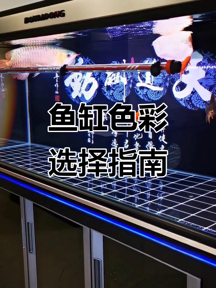 挑选鱼缸颜色?其实很简单,跟着这几个建议走就对了!