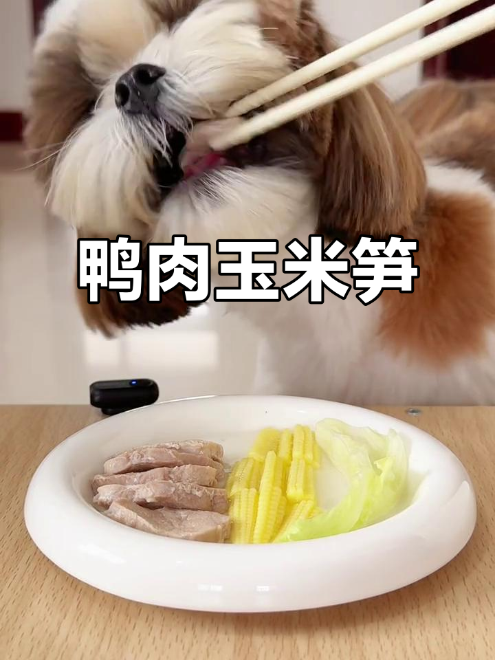 鸭肉玉米笋配球生菜,营养又美味