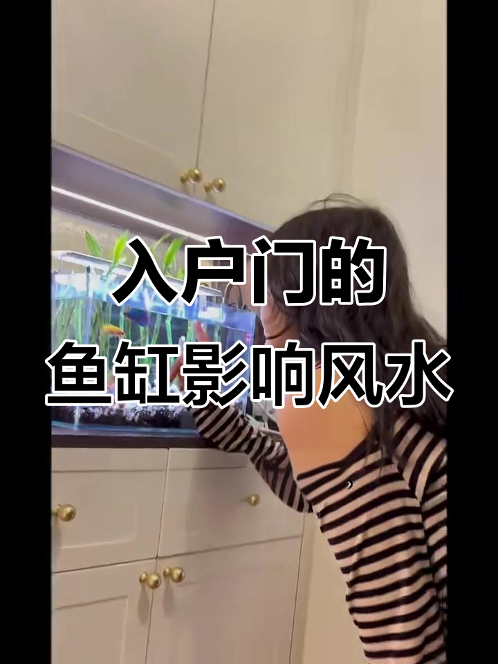 鱼缸放在入户门,风水真的有影响吗?