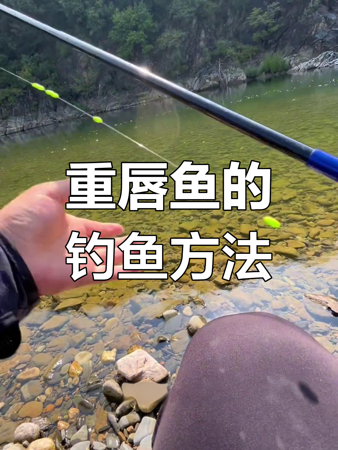 溪流钓重唇鱼,技巧与挑战并存