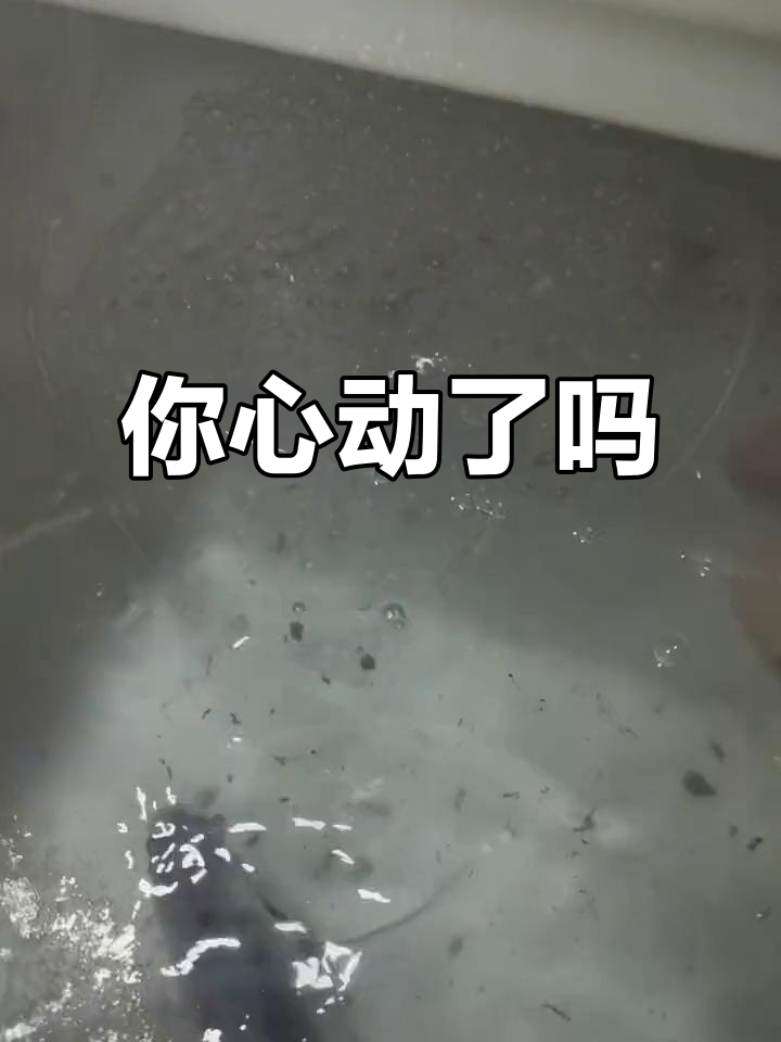 看到这种鱼,钓鱼人能忍住不甩杆吗?