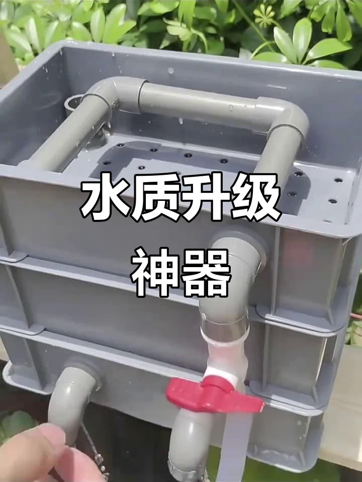 外置过滤器,提升鱼缸水循环效果
