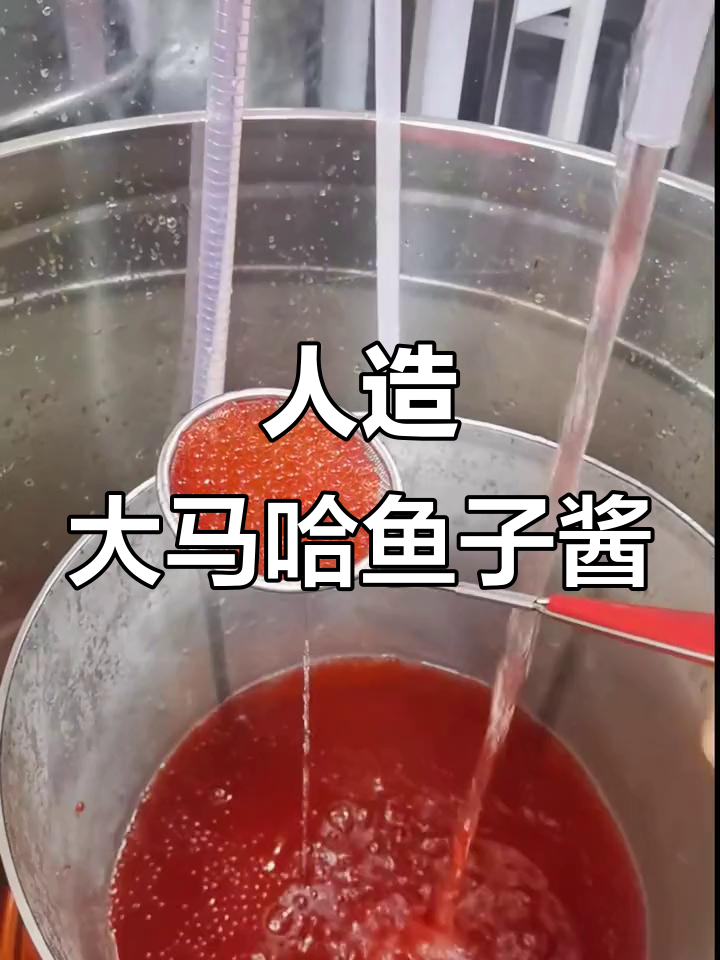 揭秘人造鱼籽制造过程,竟然是这样做出来的!