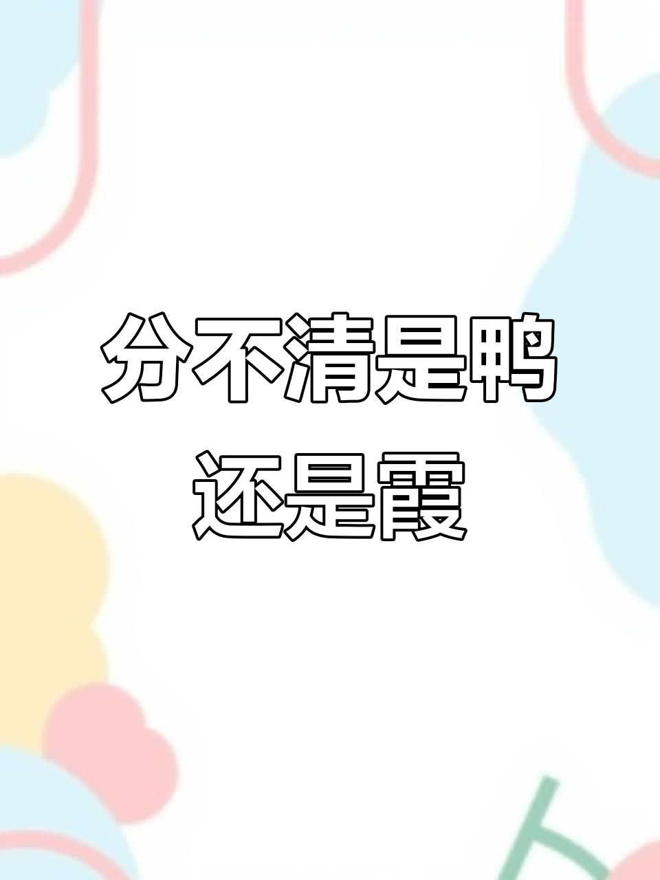 鸭与霞的奇妙交织,麻花鸭游进五彩云