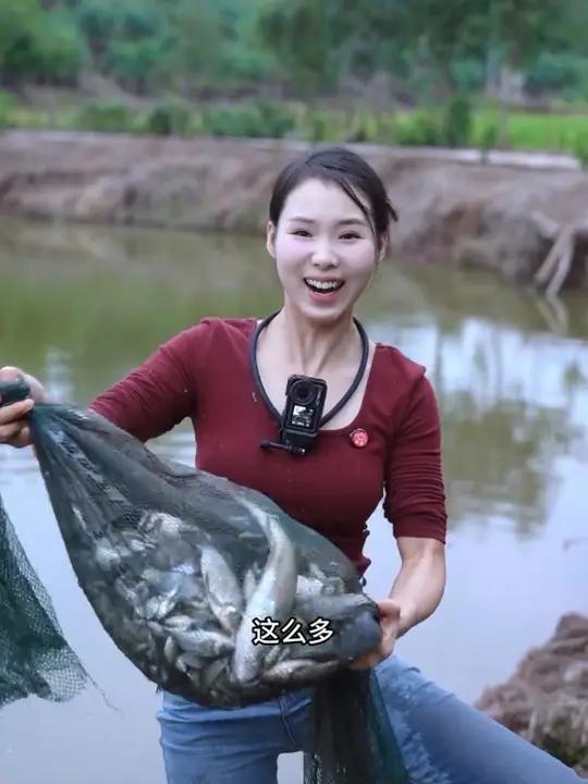 两个大笼子收获了就好多鲫鱼、菜板鱼和肥头