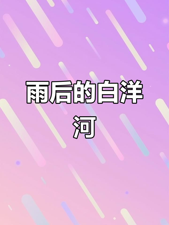 白洋河大雨后，白鹭飞舞美景尽显