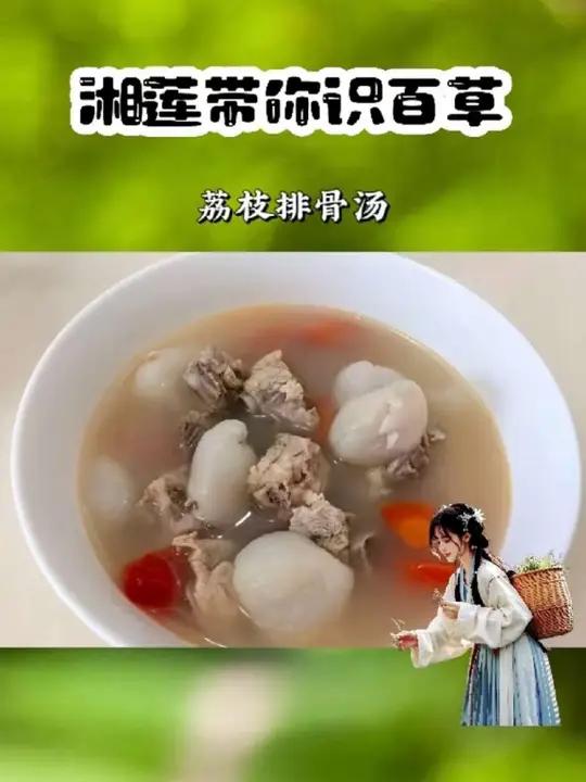 荔枝排骨汤,夏天必不可少的美食植物科普荔枝排骨