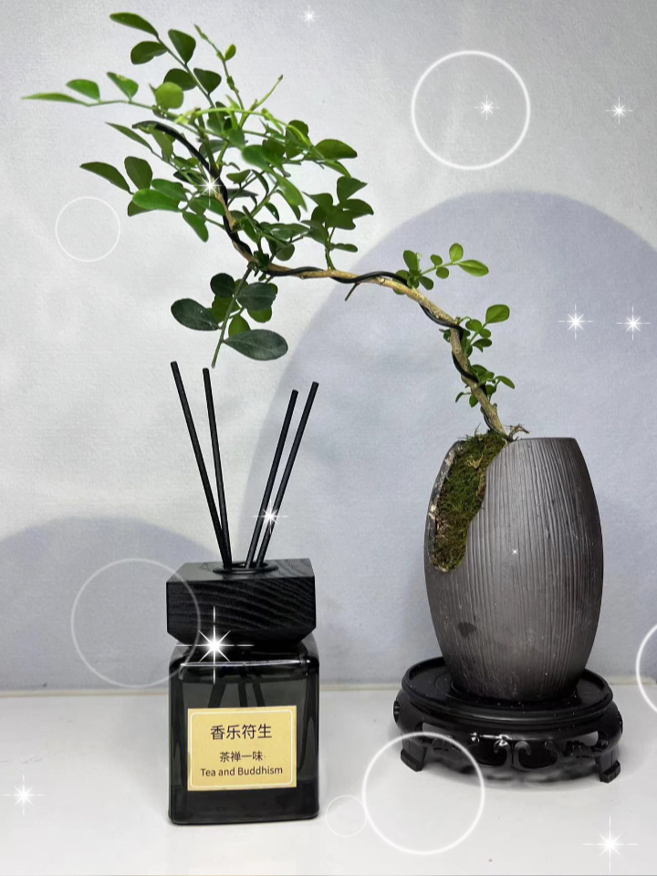 高端酒店香薰合集来啦