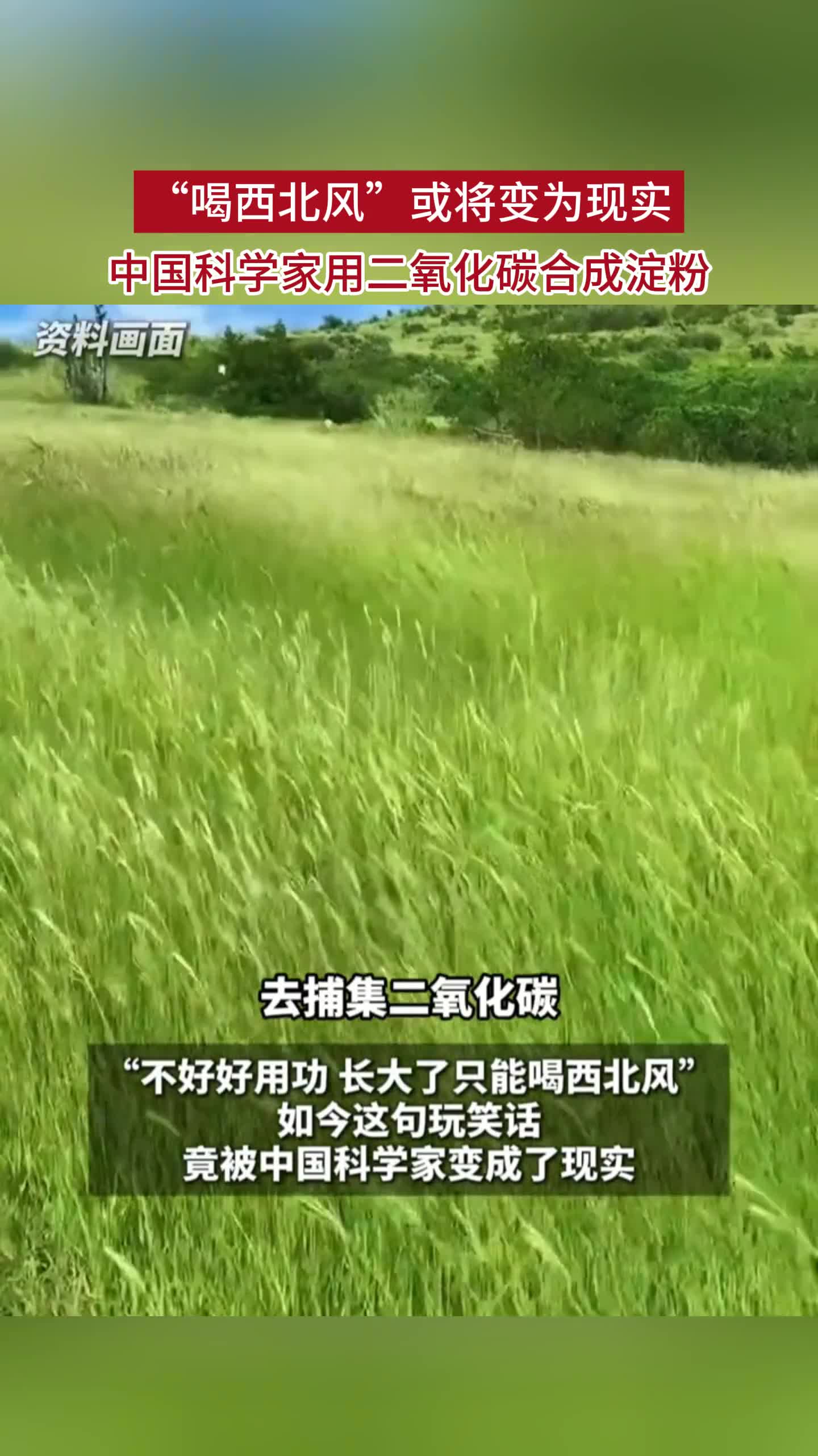 “喝西北风”或将变为现实，中国科学家用二氧化碳合成淀粉