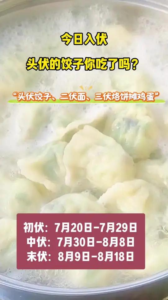今日入伏,头伏的饺子你吃了吗?吃了饺子别忘喝碗饺子汤哦!