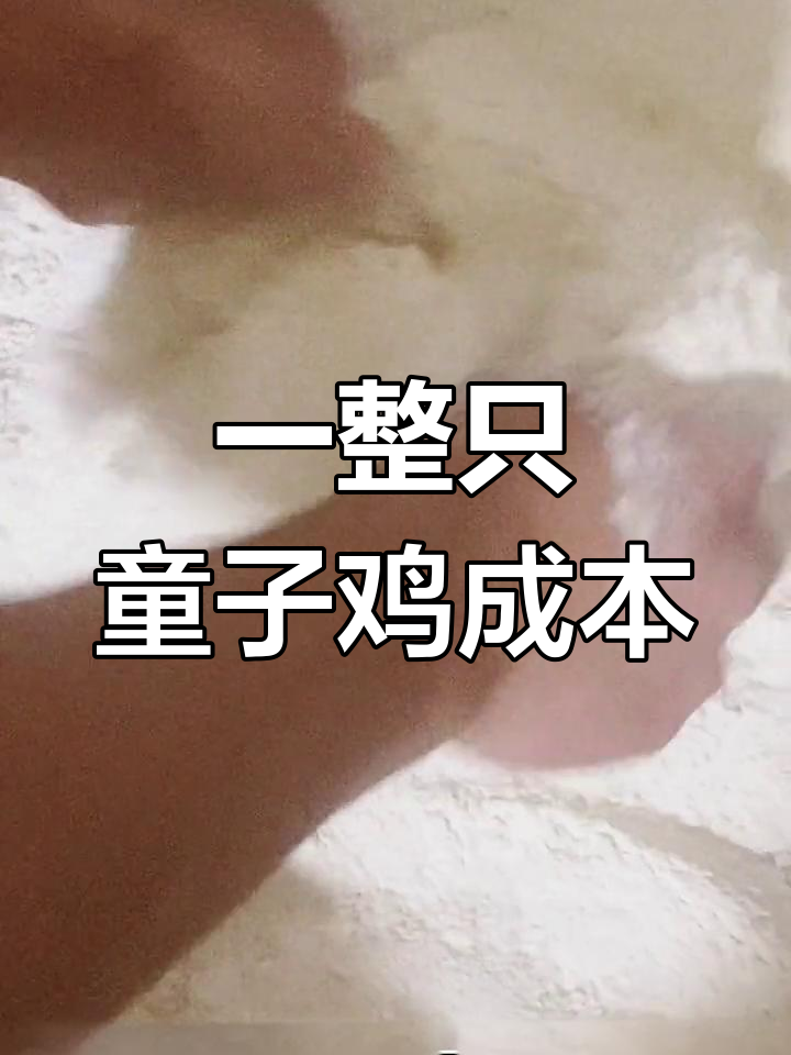 叫了只炸鸡的成本揭秘