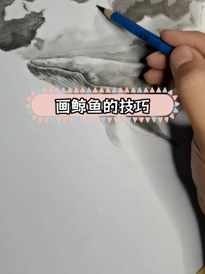 鲸鱼背上的藤壶伤痛