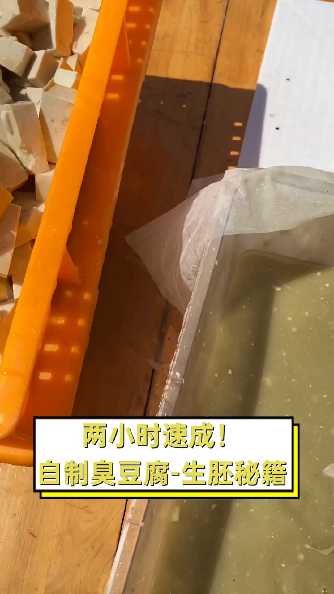 两小时速成!自制臭豆腐-生胚秘籍