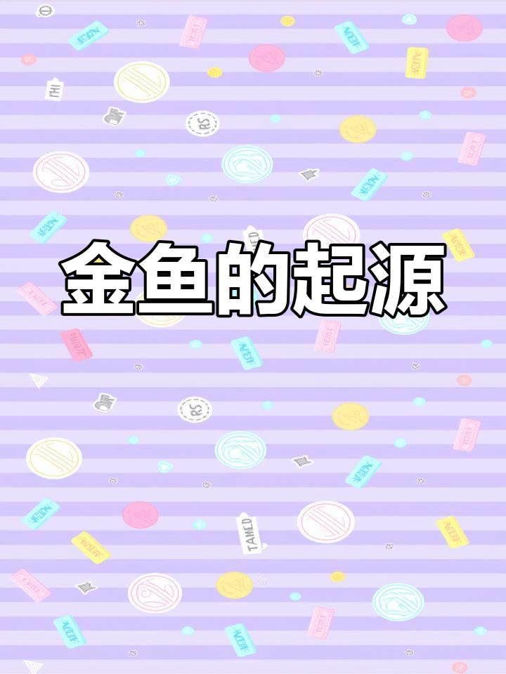金鱼的进化之路:从鲫鱼到金鱼