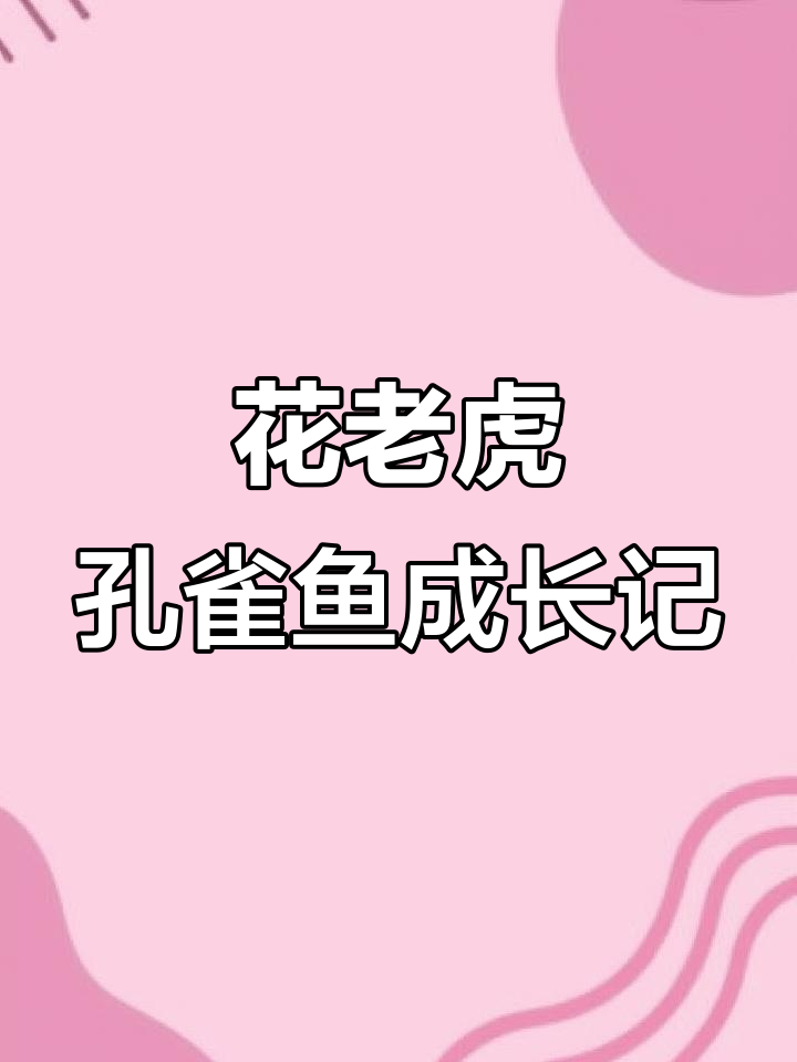 花老虎孔雀鱼从出生到两个月,变化惊人!