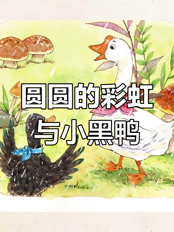 小黑鸭羡慕大白鹅,雨中散步的美丽邂逅