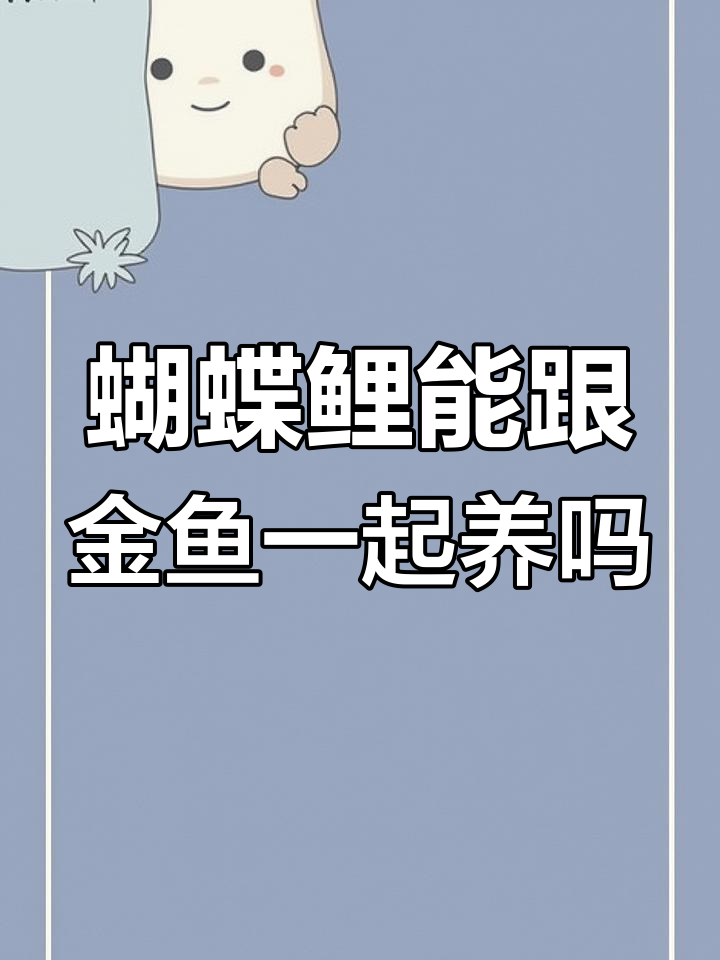 蝴蝶鲤与金鱼混养可行吗?