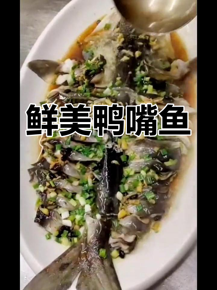 鸭嘴鱼三种美味做法,嫩滑无骨,适合全家享用